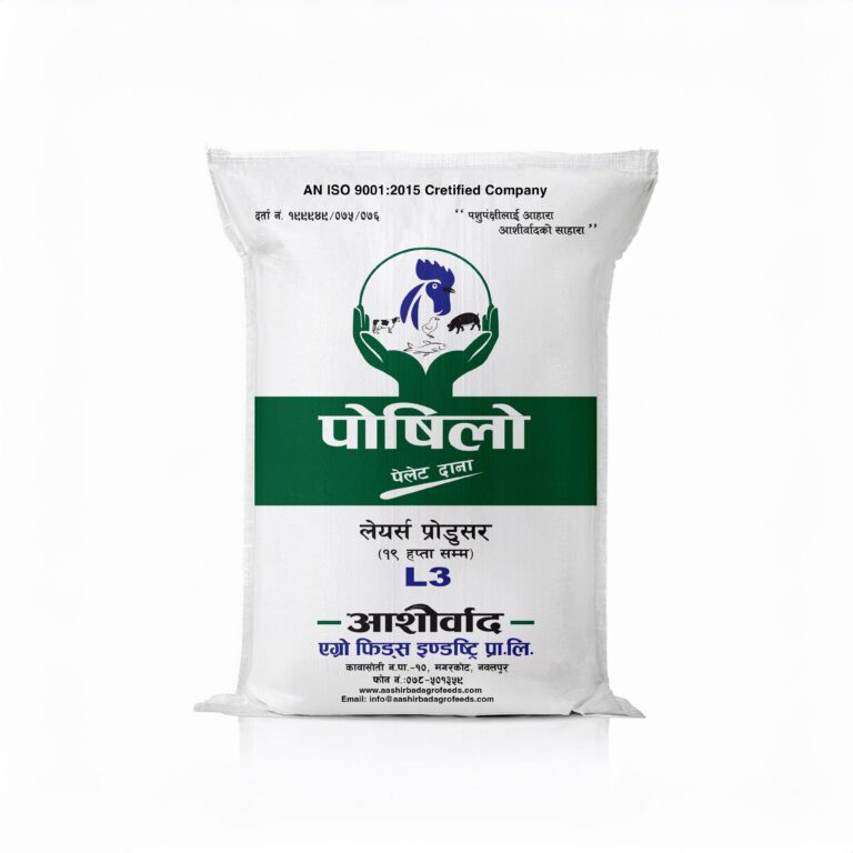 Layers Feed, Poshilo Dana, Best feed for chicken
